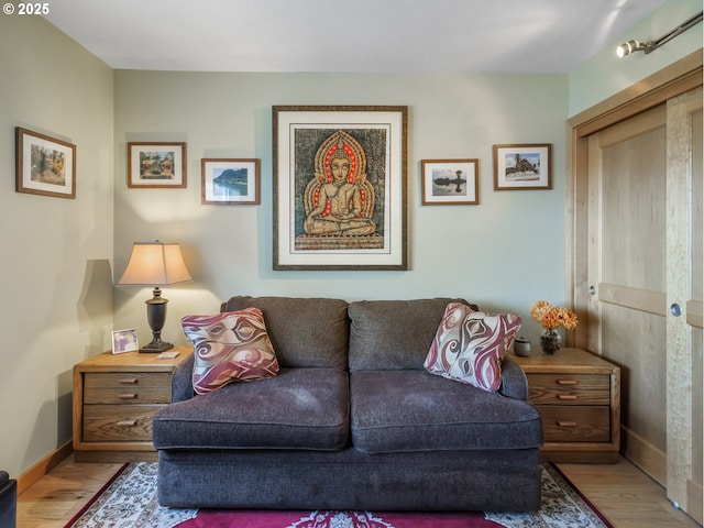 living room with light hardwood / wood-style floors