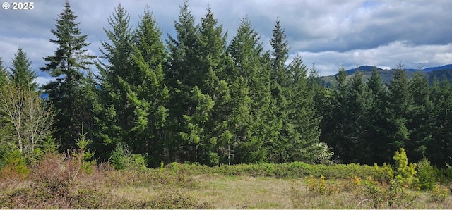 0 Blm Rd Unit 21-2-15, Dorena, OR 97434