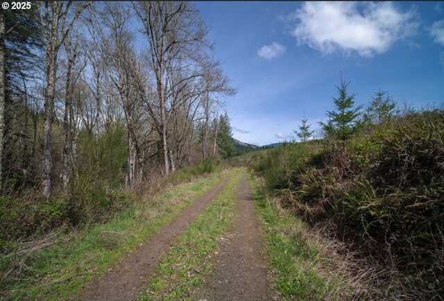 0 Blm Rd Unit 21-2-15, Dorena, OR 97434