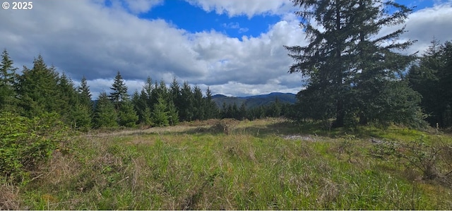 0 Blm Rd Unit 21-2-15, Dorena, OR 97434