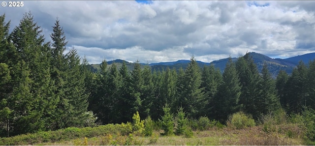 0 Blm Rd Unit 21-2-15, Dorena, OR 97434
