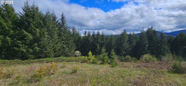 0 Blm Rd Unit 21-2-15, Dorena, OR 97434