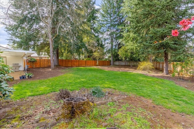 view of yard with a fenced backyard