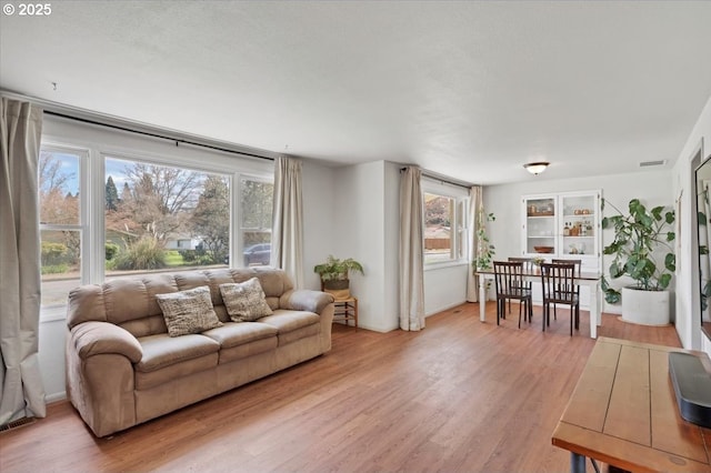 living room with light wood-type flooring