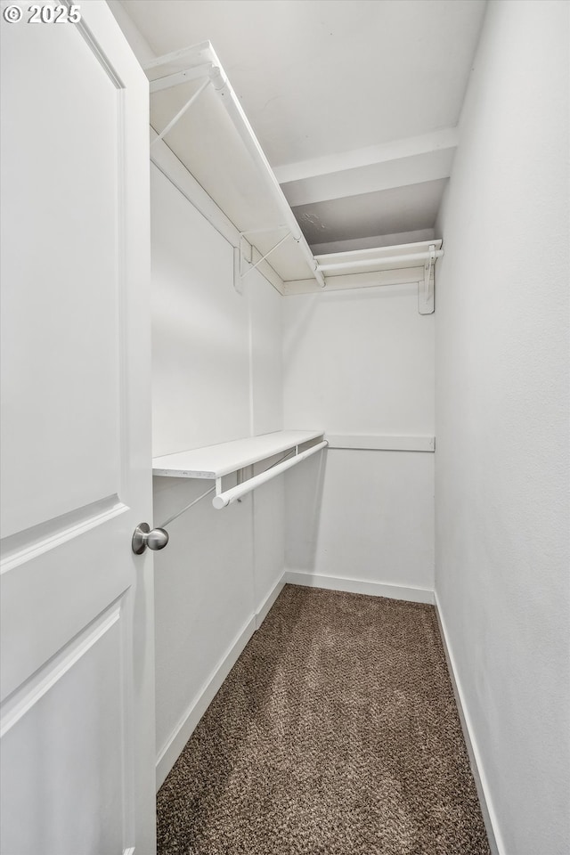 63 S 22nd St, Saint Helens, OR 97051 - spacious closet featuring carpet flooring