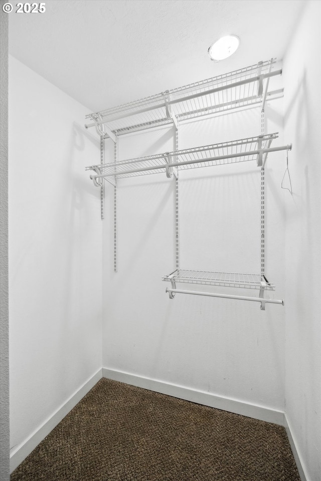 63 S 22nd St, Saint Helens, OR 97051 - walk in closet with dark colored carpet