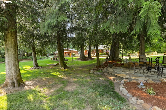 39100 SE Tumala Mountain Rd, Estacada, OR 97023 - view of grassy yard featuring a patio area