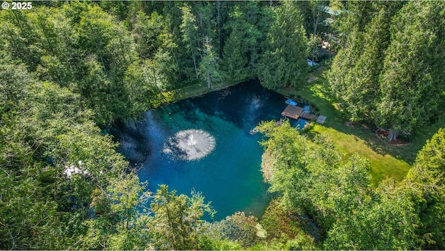 39100 SE Tumala Mountain Rd, Estacada, OR 97023 - bird's eye view of a large body of water and a heavily wooded area