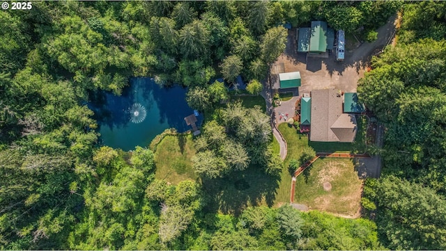 39100 SE Tumala Mountain Rd, Estacada, OR 97023 - aerial view of a large body of water