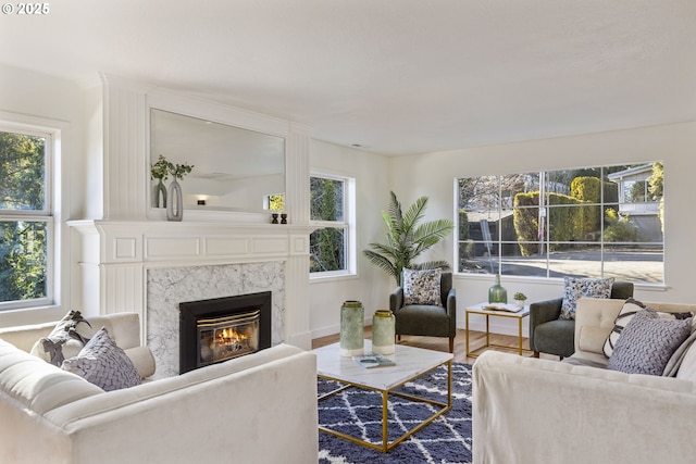 living room with wood-type flooring, a premium fireplace, and a wealth of natural light