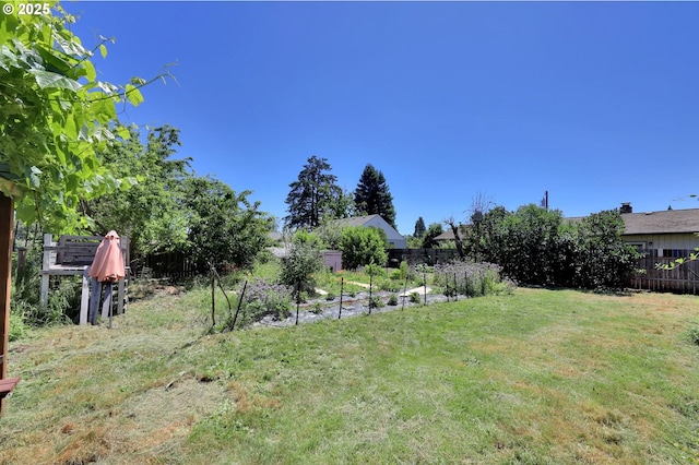 1119 7th St, Springfield, OR 97477 - view of yard