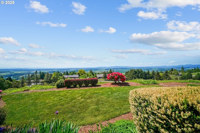 3794 E Nanitch Cir S, Salem, OR 97306 - view of green lawn