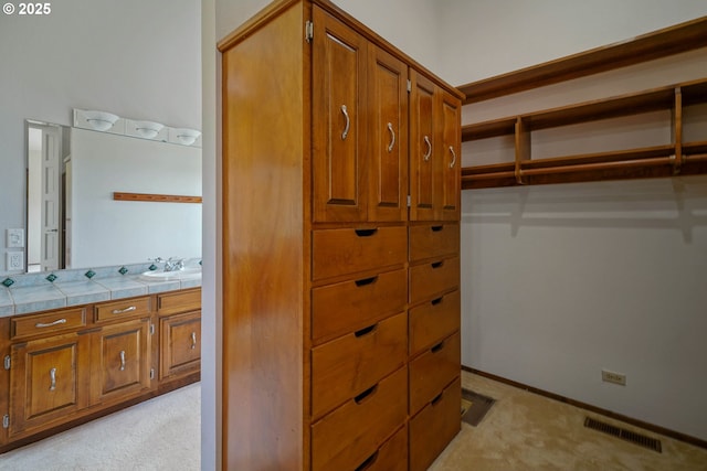 3794 E Nanitch Cir S, Salem, OR 97306 - spacious closet featuring light colored carpet and a sink