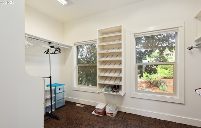 152 Palos Verdes, White Salmon, WA 98672 - spacious closet with dark colored carpet