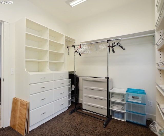 152 Palos Verdes, White Salmon, WA 98672 - spacious closet featuring dark colored carpet
