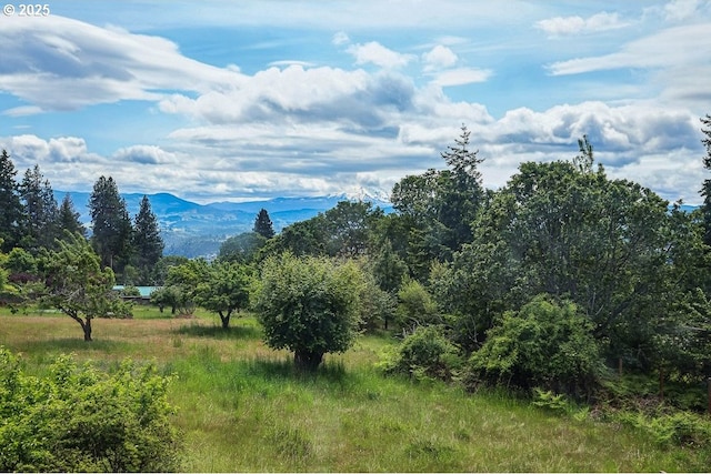 152 Palos Verdes, White Salmon, WA 98672 - view of mountain background