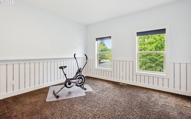 152 Palos Verdes, White Salmon, WA 98672 - exercise room with a wainscoted wall and carpet floors