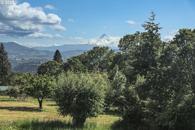 152 Palos Verdes, White Salmon, WA 98672 - mountain view