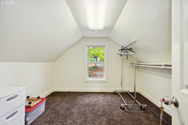 152 Palos Verdes, White Salmon, WA 98672 - spacious closet featuring dark carpet and lofted ceiling