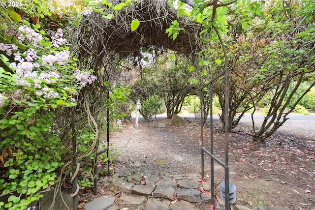 152 Palos Verdes, White Salmon, WA 98672 - view of undeveloped land