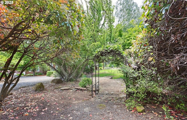 152 Palos Verdes, White Salmon, WA 98672 - view of yard