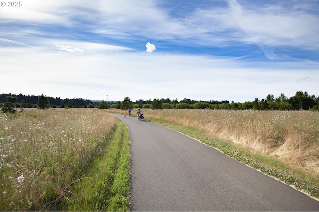 view of road with a rural view