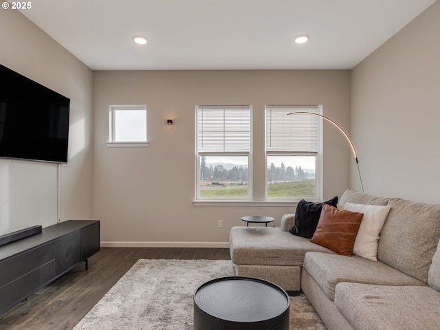 living room with dark hardwood / wood-style floors