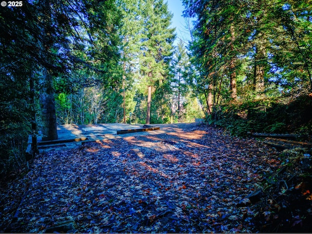 487 Montgomery Ave, Glendale, OR 97442 - view of road with a wooded view