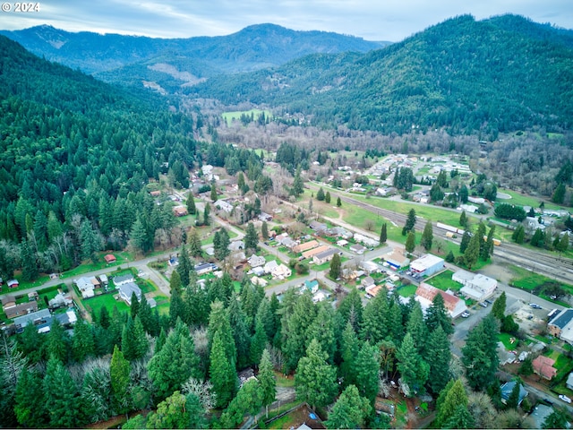 birds eye view of property featuring a mountain view