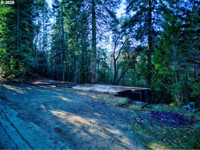 view of yard featuring a view of trees