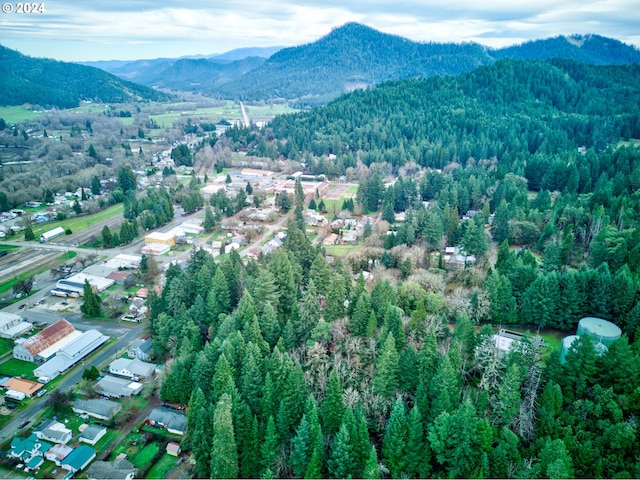 aerial view with a mountain view