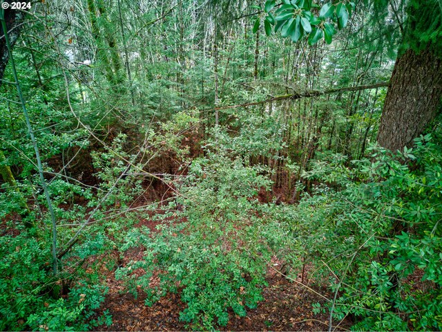 view of landscape with a forest view