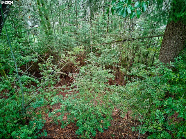 487 Montgomery Ave, Glendale, OR 97442 - view of undeveloped land