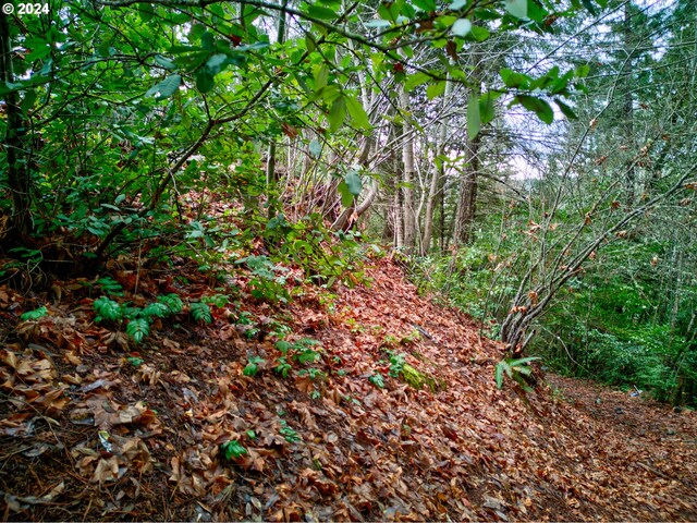 487 Montgomery Ave, Glendale, OR 97442 - view of nature