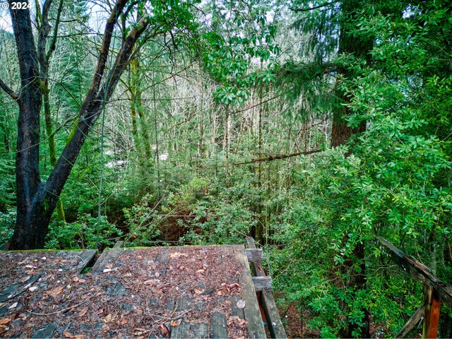 view of local wilderness