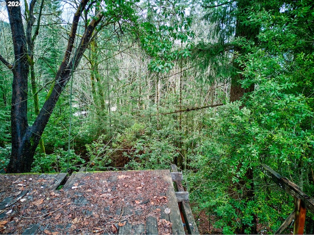 487 Montgomery Ave, Glendale, OR 97442 - view of wooded area