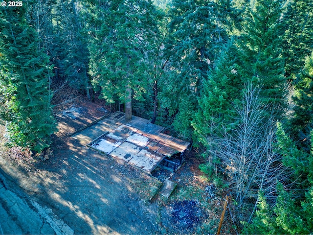 bird's eye view
