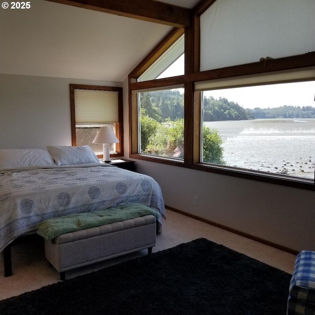 carpeted bedroom with a water view and vaulted ceiling