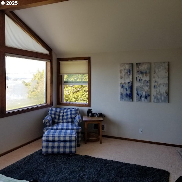 living area featuring lofted ceiling and carpet flooring