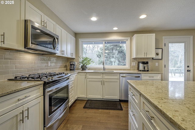 kitchen with a sink, plenty of natural light, appliances with stainless steel finishes, and dark wood-style flooring