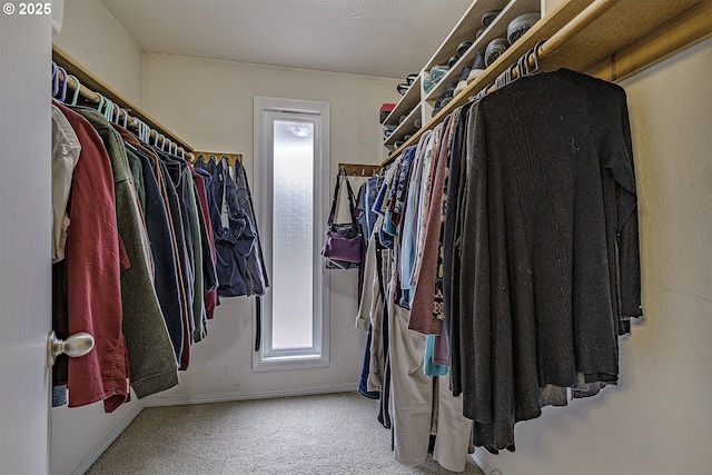 spacious closet with carpet flooring