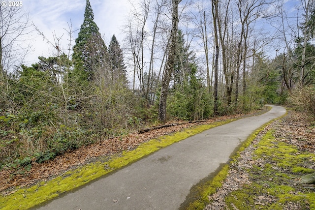 view of road featuring a wooded view