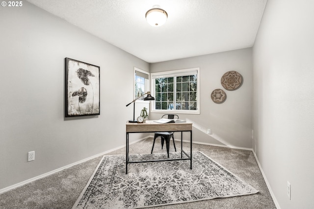 office with carpet flooring