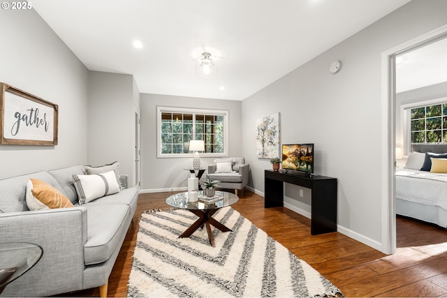 living room with dark hardwood / wood-style floors