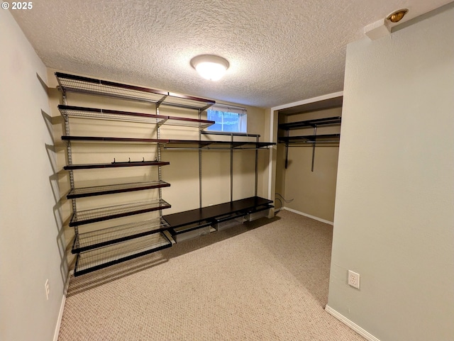 walk in closet with carpet flooring