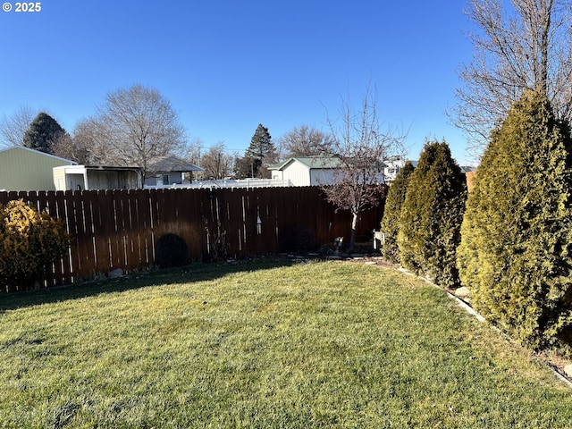 view of yard
