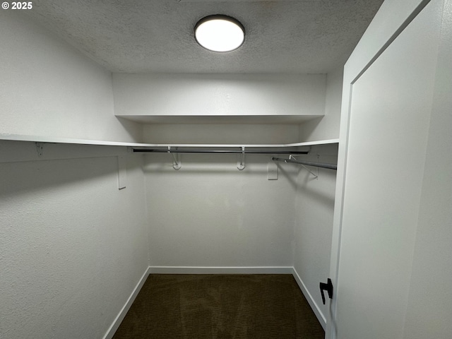 walk in closet with dark carpet