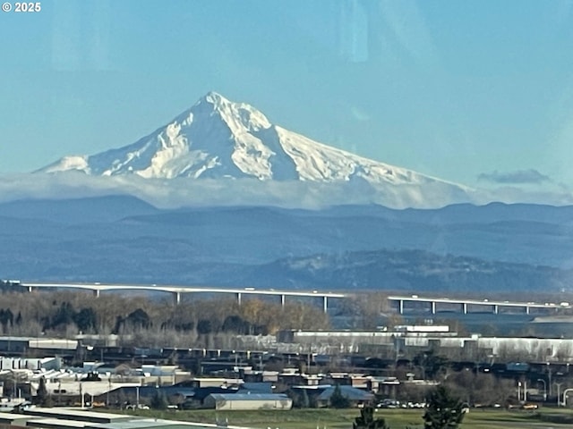 700 Washington St Unit 1125, Vancouver, WA 98660 - mountain view