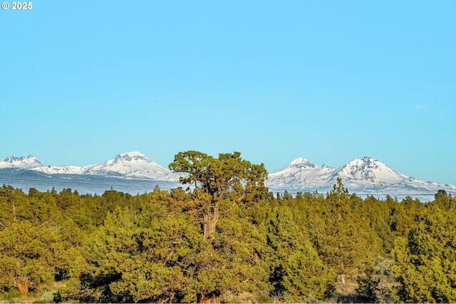 17097 SW Lago Vista Dr, Powell Butte, OR 97753 - view of mountain background with a heavily wooded area