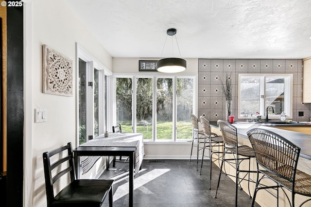 dining room with baseboards and a textured ceiling